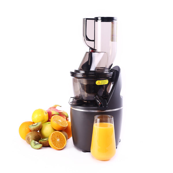 Regalia Full Fruit Cold Press Slow Juicer | 55 RPM Slow Juicer Retains Higher Nutrients | 240W powerful DC motor | Easy to Clean | 5-Year Motor Warranty